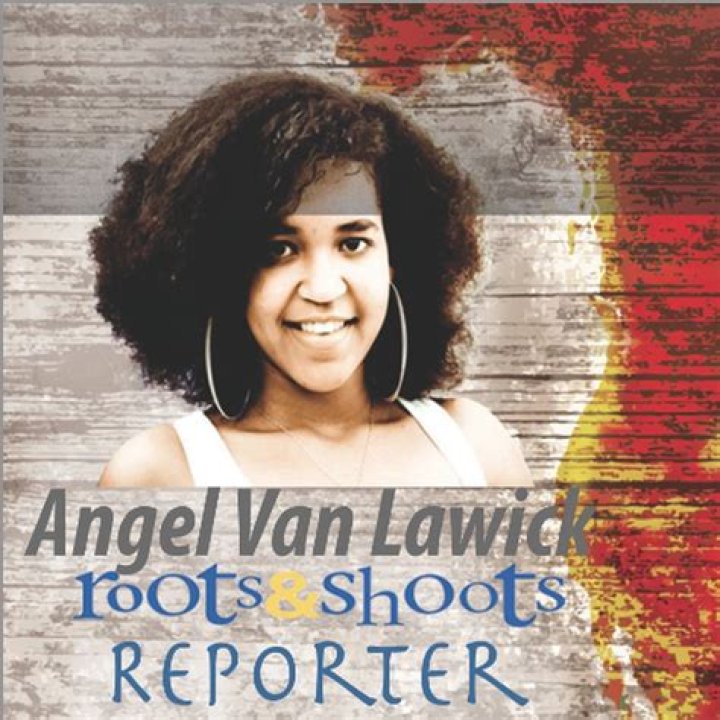 Angel van Lawick: Unveiling the Bible's Truth About Angels
