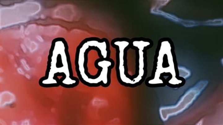 Exploring the "Quieres Agua Video": A Simple Phrase, A Big Impact