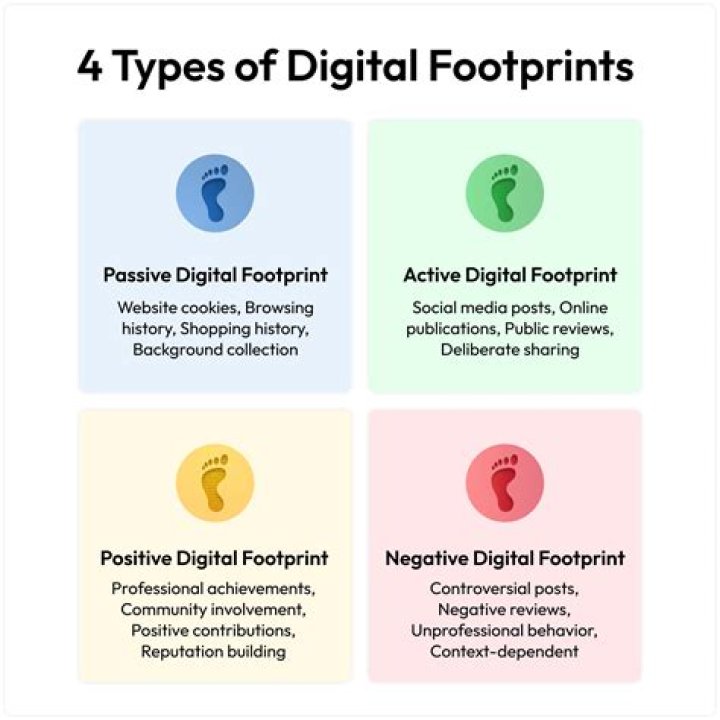 Exploring the Digital Footprint: What a Search Like Vyvan Le Nude Can Teach Us About Online Information