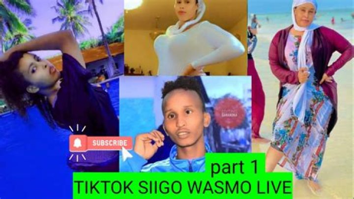 Sheeko Wasmo
